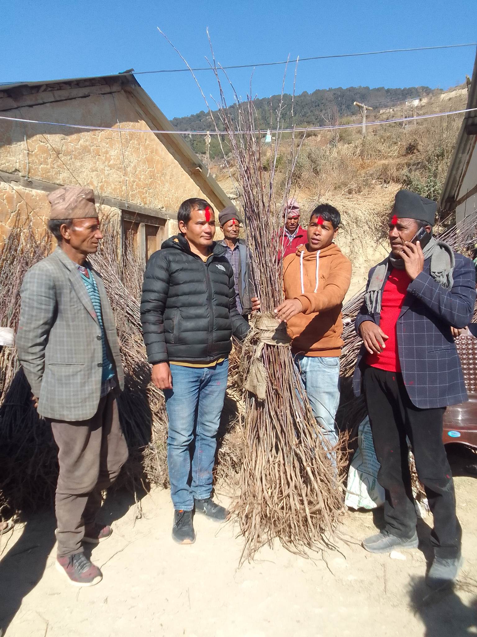 ताँजकोट गाउँपालिका द्धारा किषानहरुलाई नौ हजार स्याउका बिरुवा बितरण(फोटो फिचर)