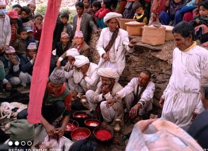 मुगु भिईको मिणी पुुजामा बगाल खसिको बली