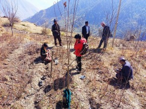 आफ्नै लगानिबाट स्वरोजगार बने ताजाकोटका मनिकण्ठ जैसी