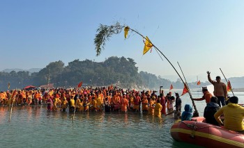 बाँसको लिङ्गो गाडेर माघेसङ्क्रान्ति मेला सुरू