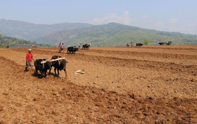 कानुन बनेपनी   भएन किसानको वर्गीकरण