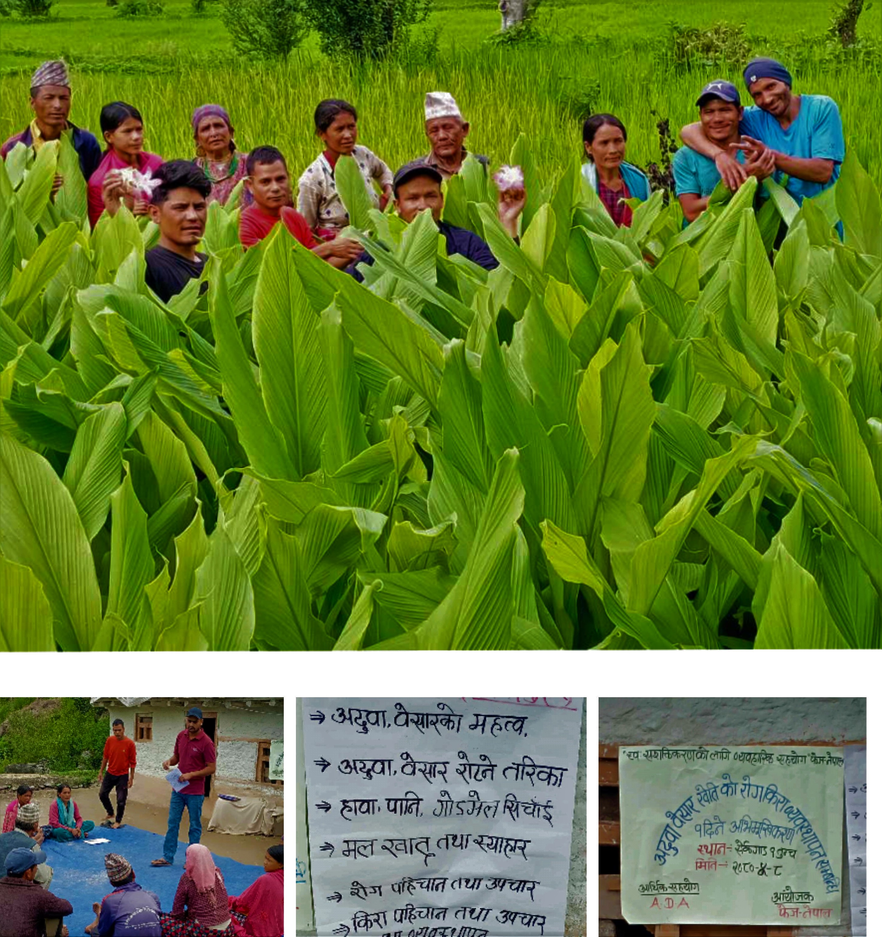 अदुवा र बेसार खेति सम्बन्धि कृषकलाई अभिमुखिकरण